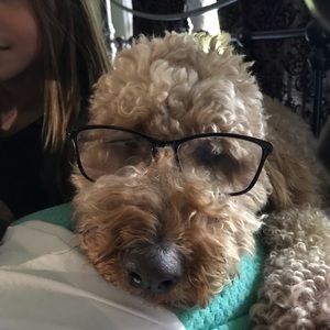 Meet your Posher, Jansen